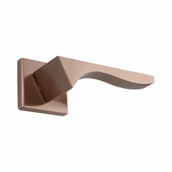 Safari